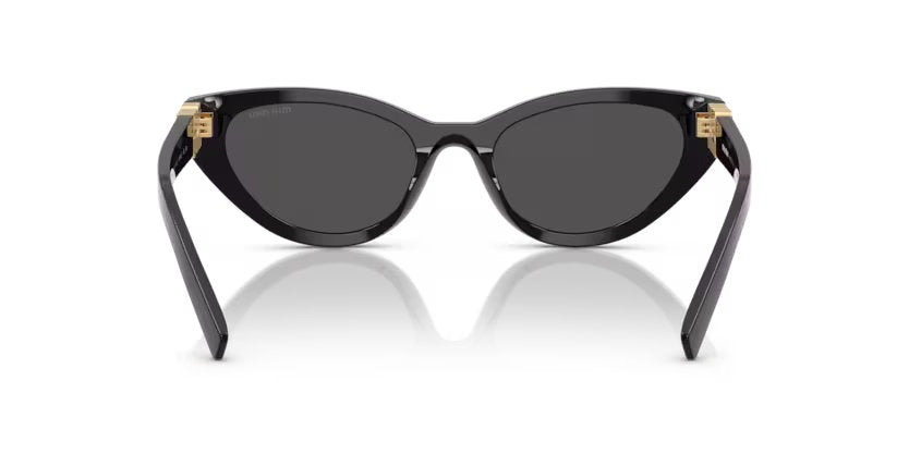 MIU MIU SUNGLASSES - MU A04 16K08Z- Black